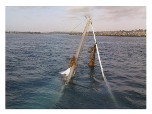 30_sunk 30_sunk